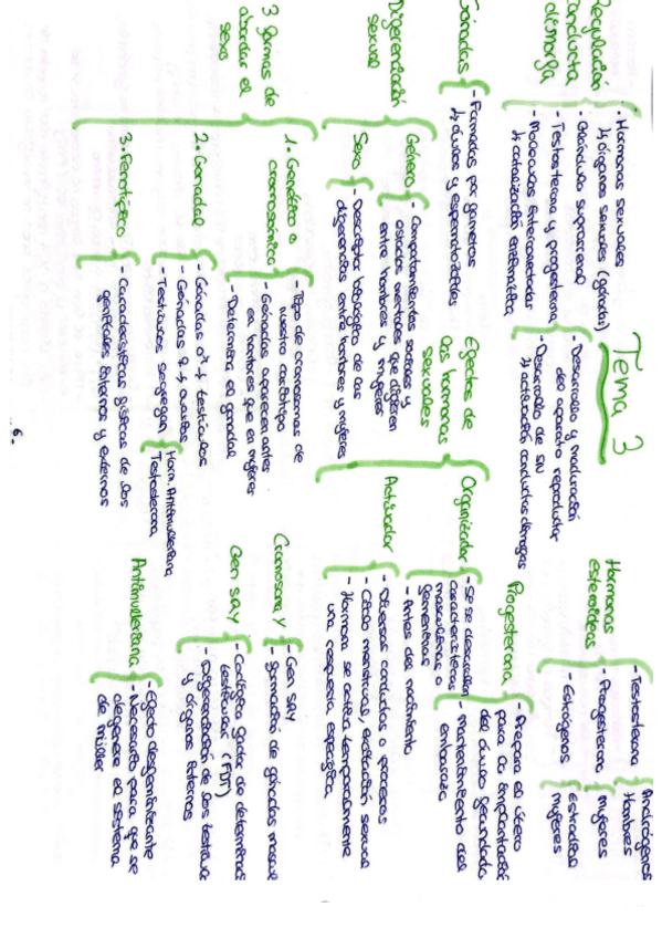 Miniatura del documento Tema-3-esquemas.pdf