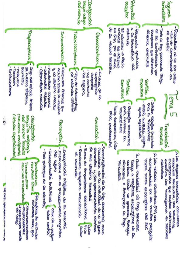 Miniatura del documento Tema-5-esquemas.pdf