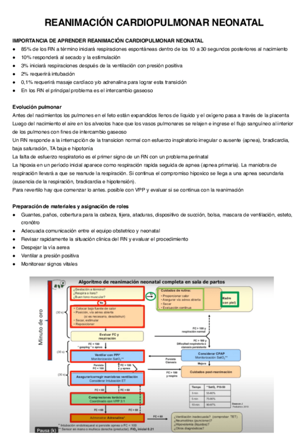 Miniatura del documento REANIMACION-CARDIOPULMONAR-NEONATAL.pdf