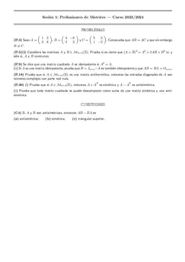 Miniatura del documento EnunciadosSesionesPrimerParcial-2023-2024.pdf