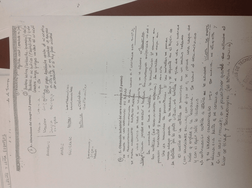 Miniatura del documento Foto 02-02-14 20 19 49.jpg