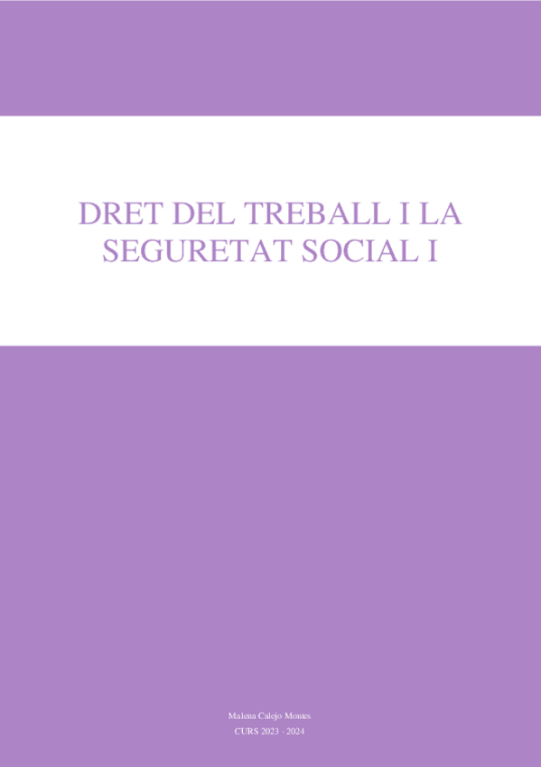 Miniatura del documento Dret-del-Treball-i-la-SS-I.pdf