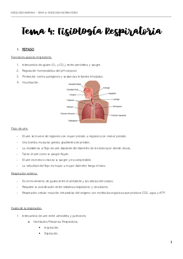 Miniatura del documento APUNTES-TEMA-4-23-24.pdf