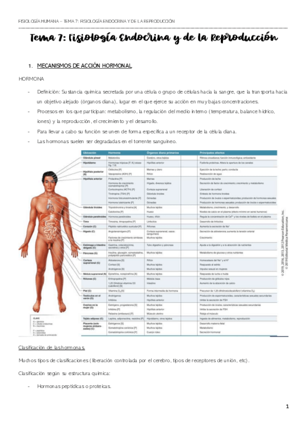 Miniatura del documento APUNTES-TEMA-7-23-24.pdf
