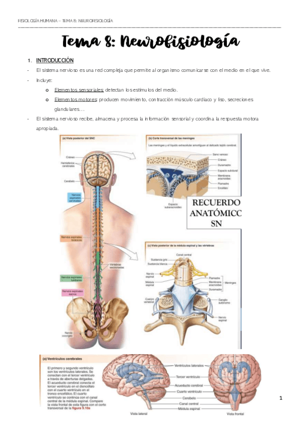 Miniatura del documento APUNTES-TEMA-8-23-24.pdf