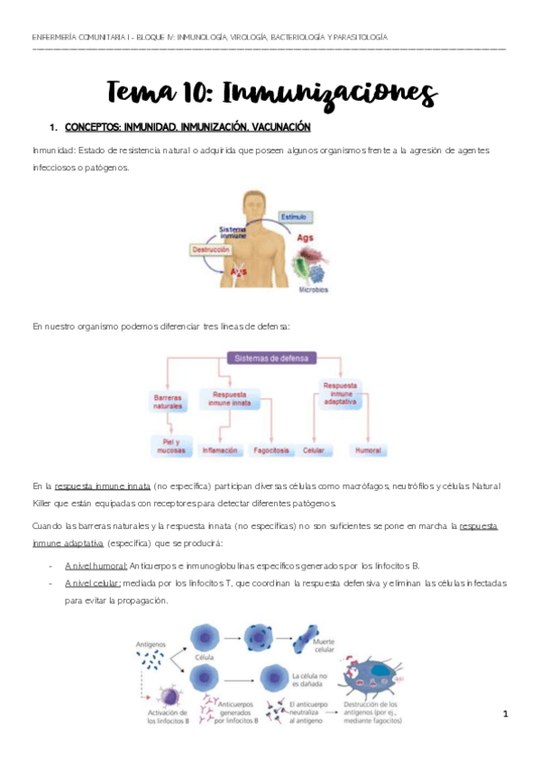 Miniatura del documento APUNTES-TEMA-10-23-24.pdf