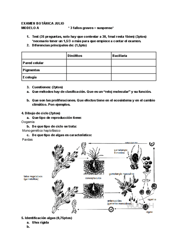 Miniatura del documento Examen-recu-BOTANICA.pdf
