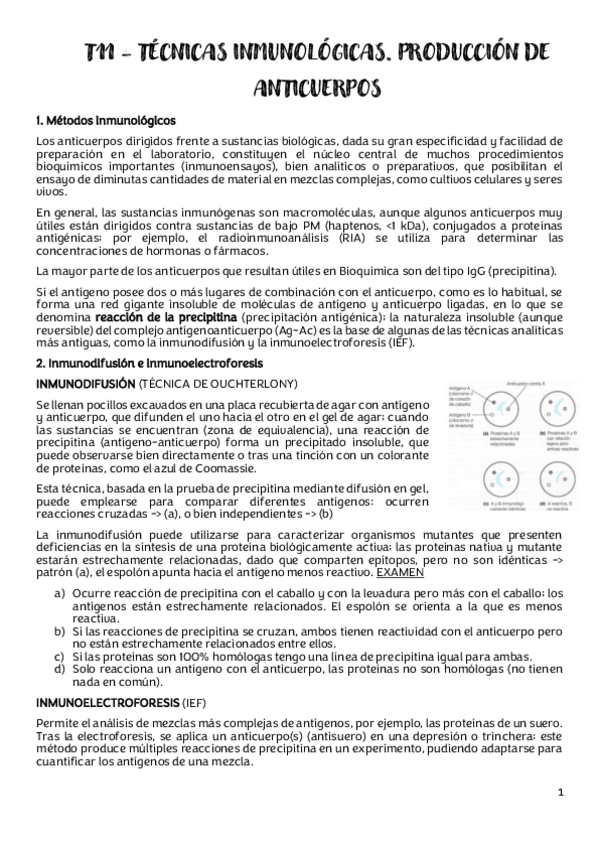 Miniatura del documento T11.pdf