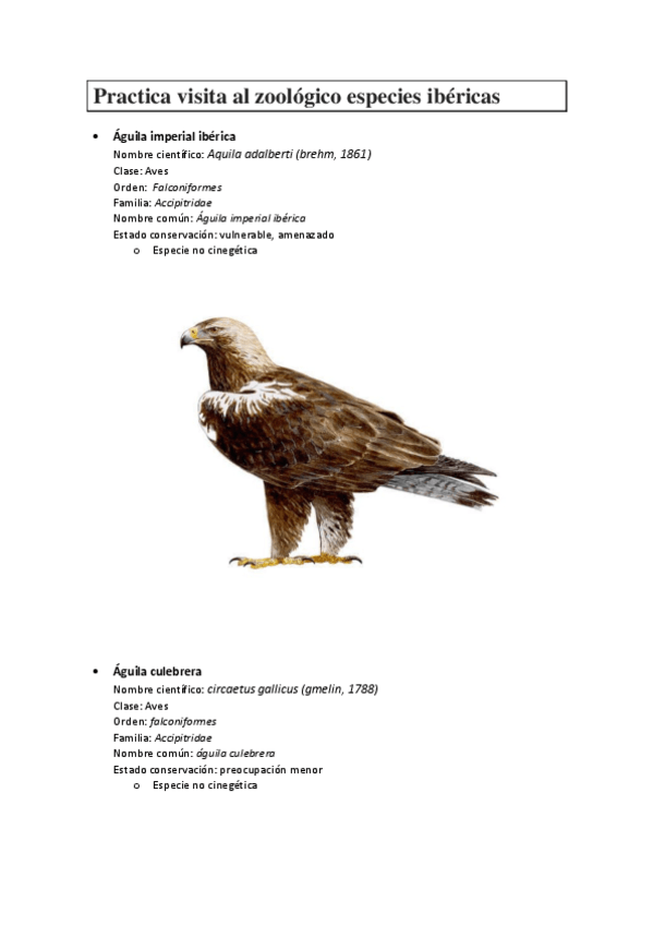 Miniatura del documento Practica-visita-al-zoologico-especies-ibericas.pdf