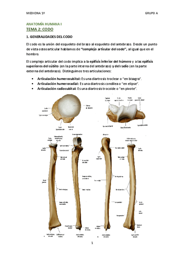 Miniatura del documento TEMA 2 - CODO.pdf