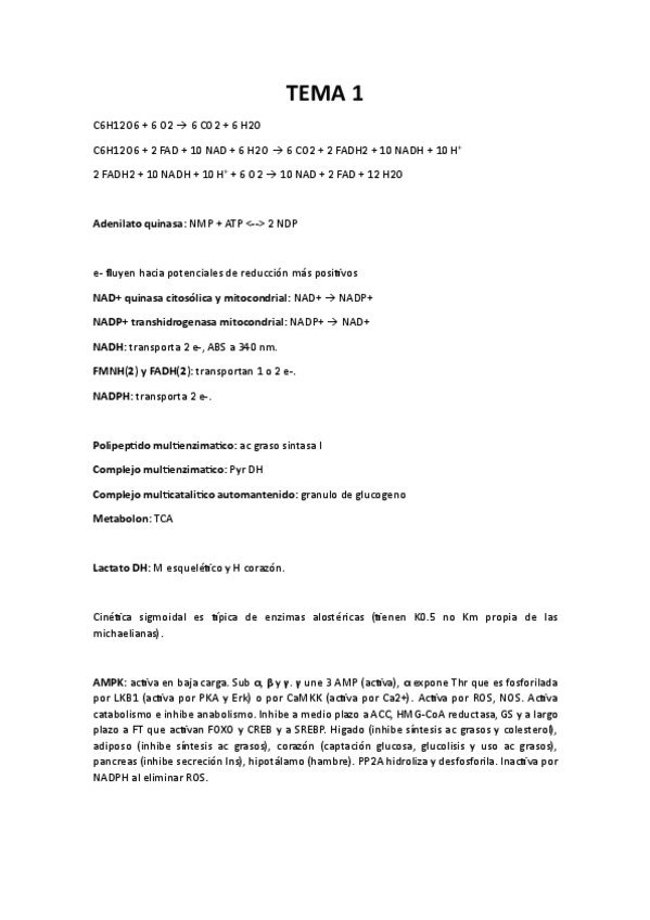 Miniatura del documento RESUMEN.pdf