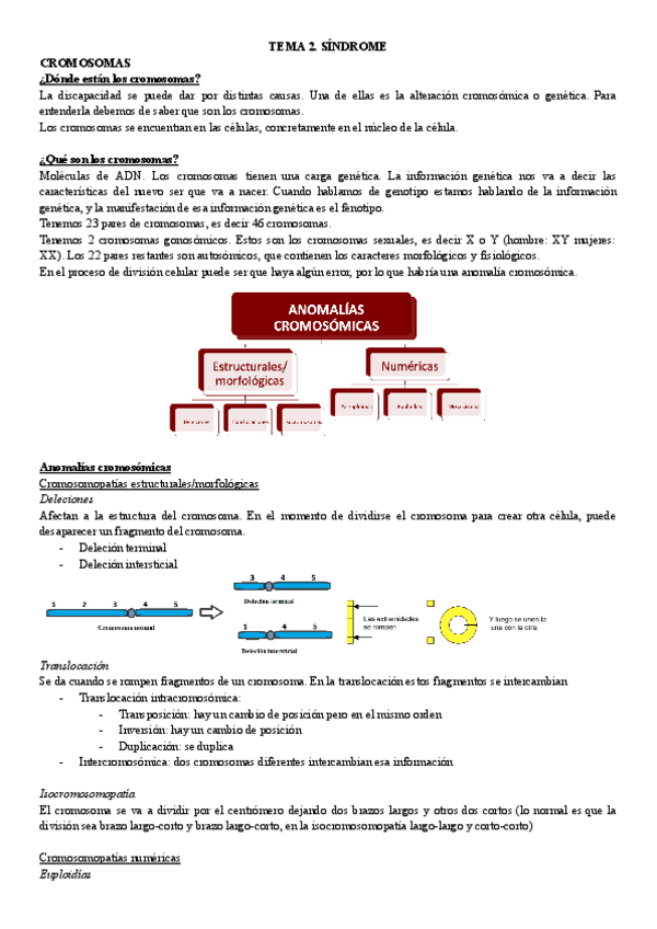 Miniatura del documento TEMA-5-AT-NOELIA.pdf
