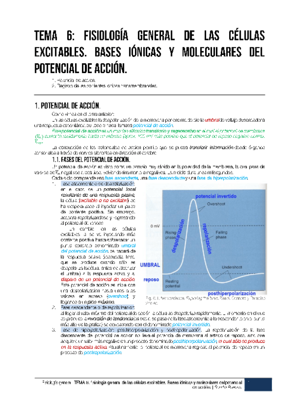 Miniatura del documento TEMA 6 Fisiología general de las células excitables.pdf
