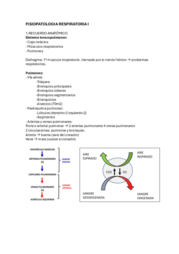 Miniatura del documento FISIOPATOLOGIA-RESPIRATORIA.pdf