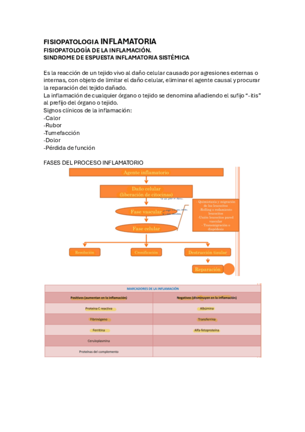 Miniatura del documento Fisiopatologia-inflamatoria.pdf