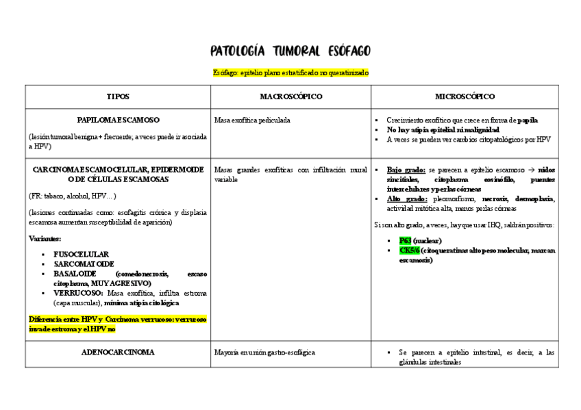 Miniatura del documento PATOLOGIA-TUMORAL-ESOFAGOESTOMAGO-INTESTINO-T.11.pdf