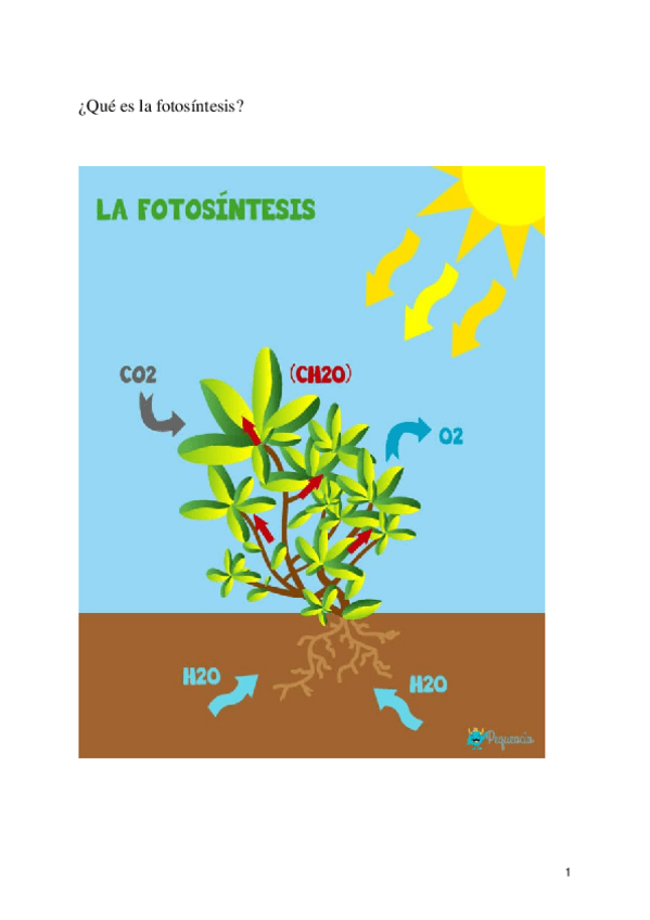 Miniatura del documento UNIDAD-DIDACTICA-FOTOSINTESIS.pdf
