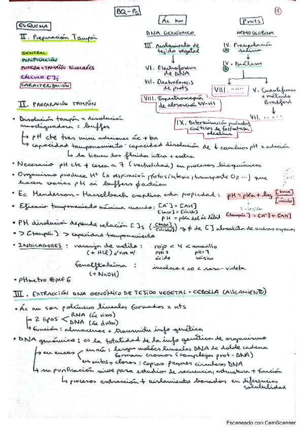Miniatura del documento resumen-practicas-teoria-presentaciones.pdf