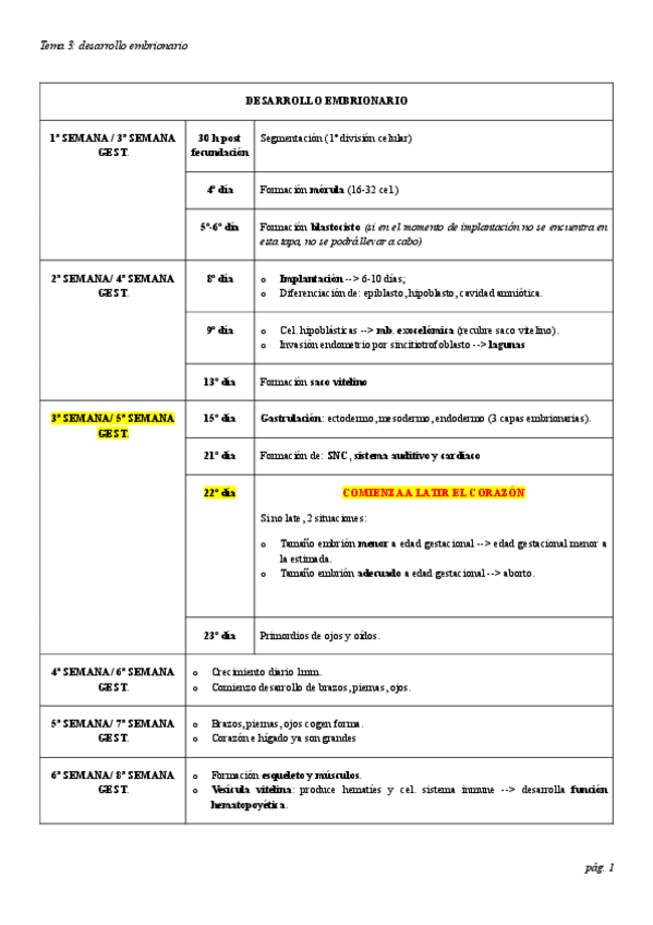 Miniatura del documento T3-OBSTETRICIA.pdf
