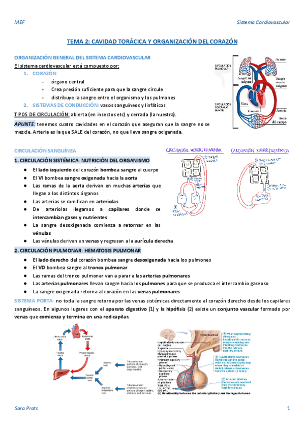 Miniatura del documento TEMA-2-CAVIDAD-TORACICA-Y-ORGANIZACION-DEL-CORAZON.pdf