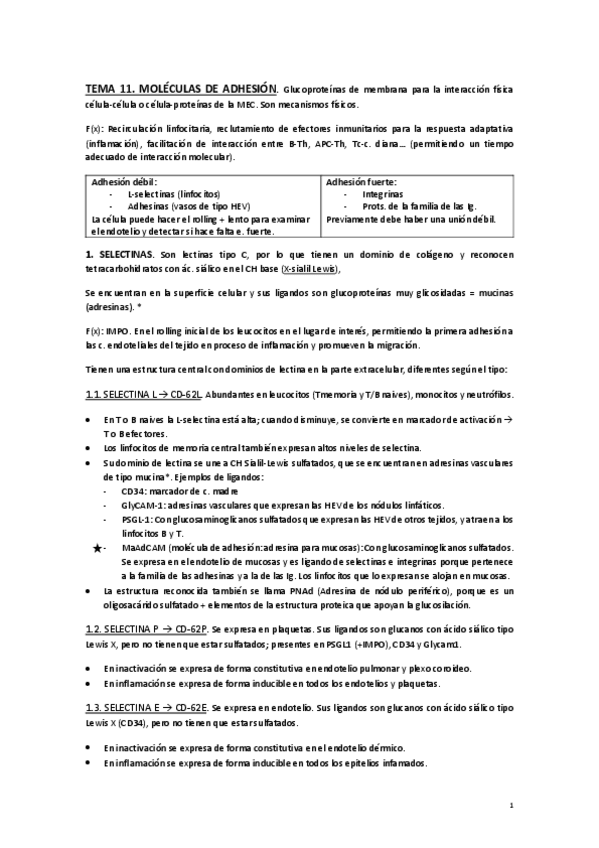 Miniatura del documento Resumen-11-SI.pdf