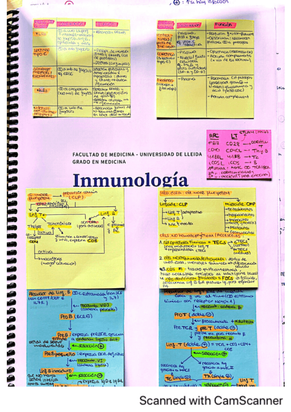 Miniatura del documento inmuno-parcial1.pdf