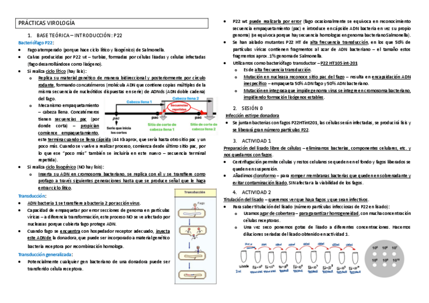 Miniatura del documento Resumen teórico prácticas.pdf