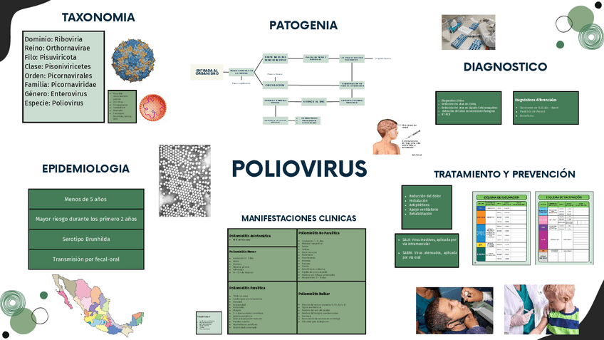 Miniatura del documento POLIOVIRUS.pdf