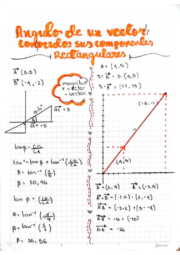 Miniatura del documento angulo-de-un-vector.pdf