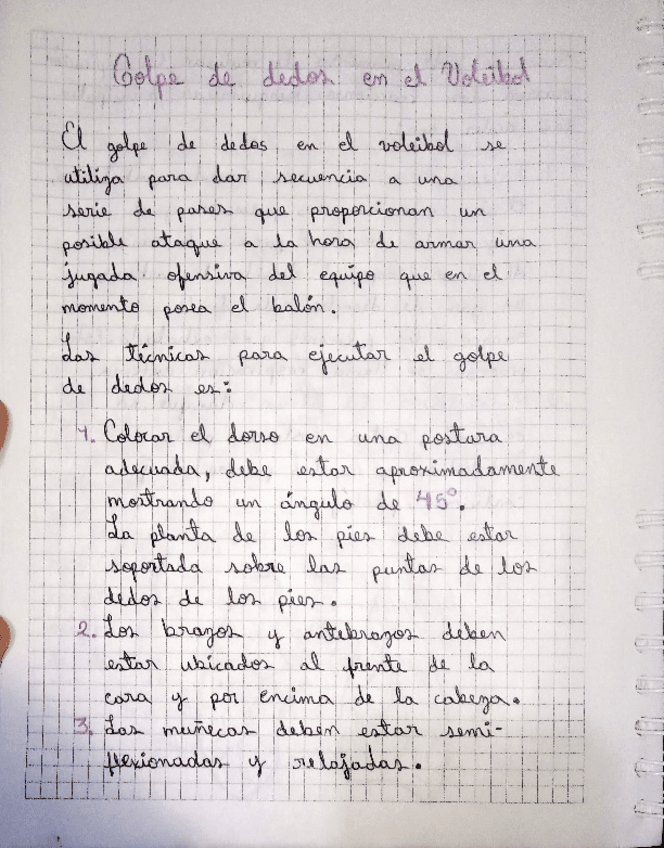 Miniatura del documento Fundamentos-Basicos-del-Voleibol.pdf