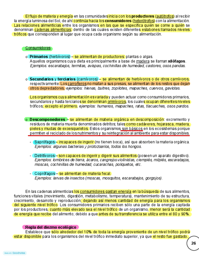 Miniatura del documento Cadenas-alimenticias-explicacion-cientifica.pdf