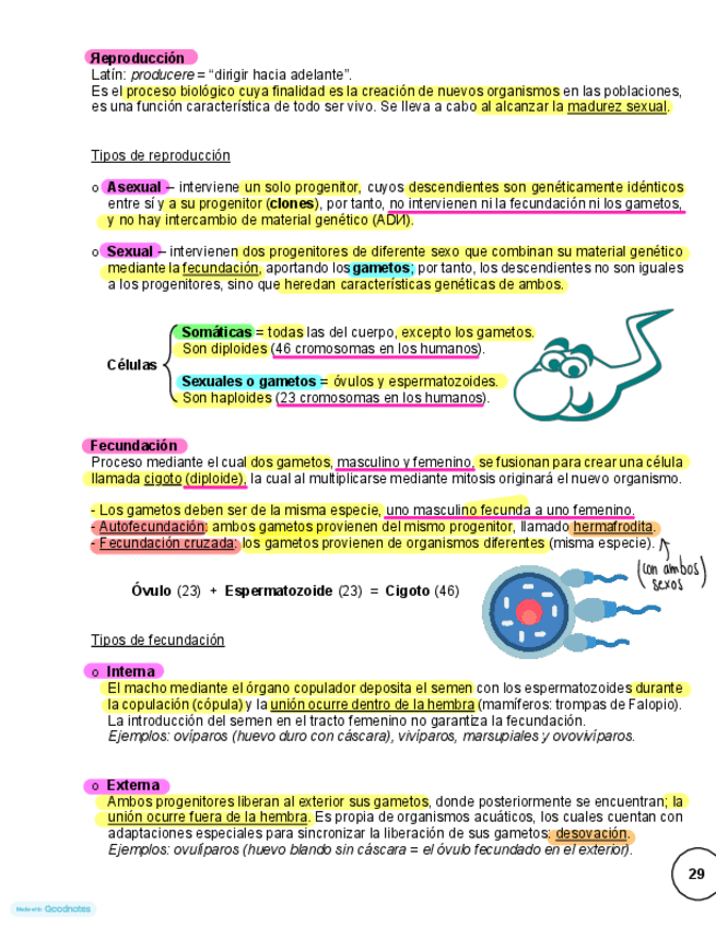Miniatura del documento Fecundacion-y-tipos-de-fecundacion-explicado-y-con-ejemplos.pdf