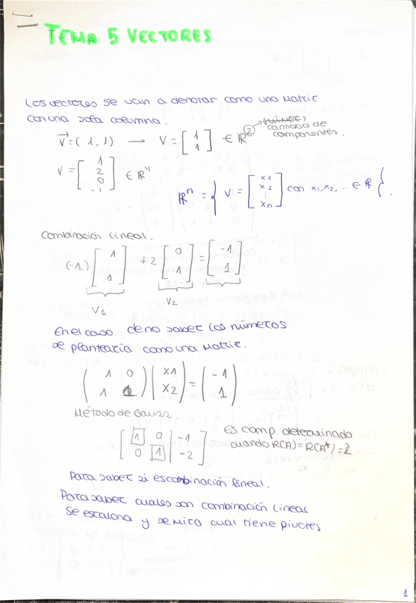 Miniatura del documento Tema-5-Mates-1-Seg-Parcial.pdf