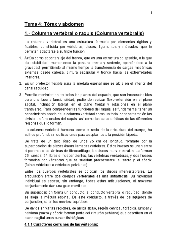 Miniatura del documento Tema-4-Torax-Abdomen.pdf
