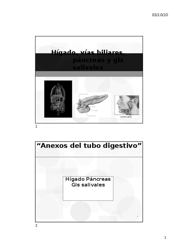 Miniatura del documento higado-pancreas-gls-salivales-21-22.docx