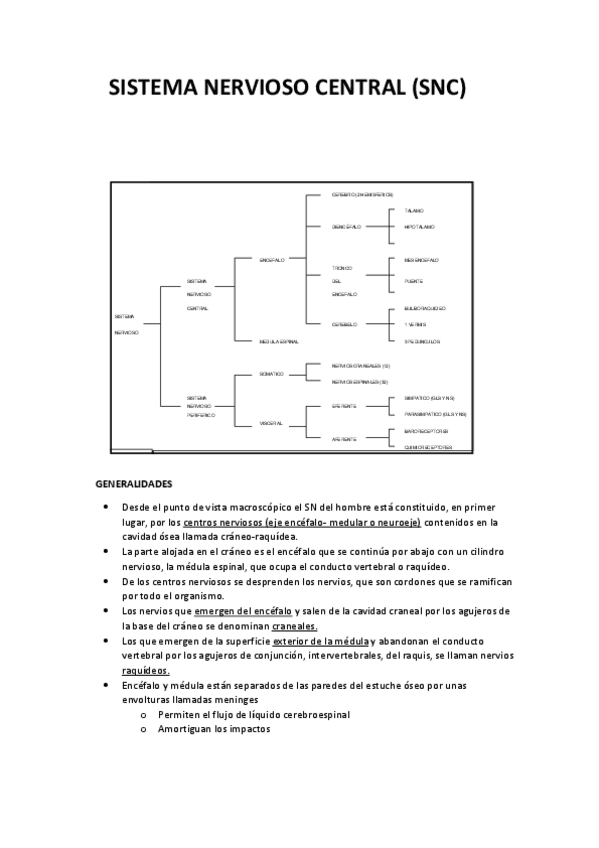 Miniatura del documento SNC-Vallina.pdf