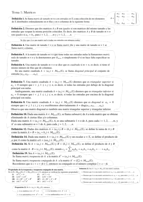 Miniatura del documento Toda-la-teoria-del-primer-parcial.pdf