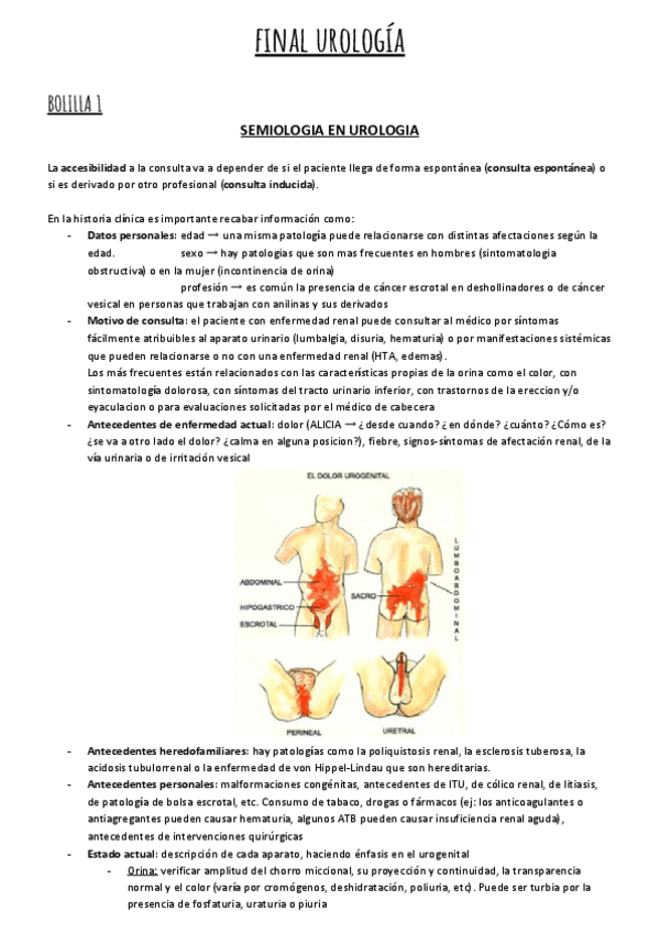 Miniatura del documento FINAL-UROLOGIA.pdf