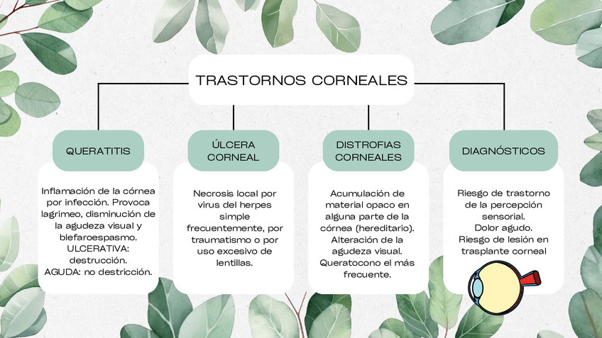 Miniatura del documento trast.corneales.pdf