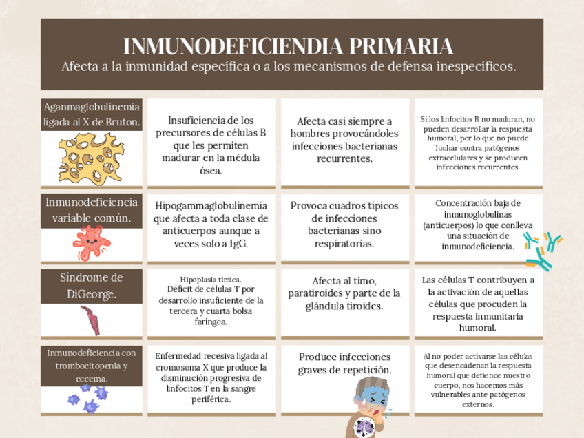 Miniatura del documento inmunodeficiencia-primaria.pdf