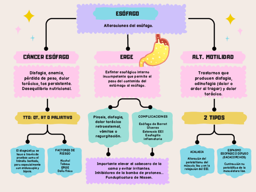 Miniatura del documento alt.esofago.pdf