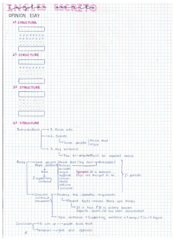 Miniatura del documento ESTRUCTURA-OPINION-ESSAY.pdf
