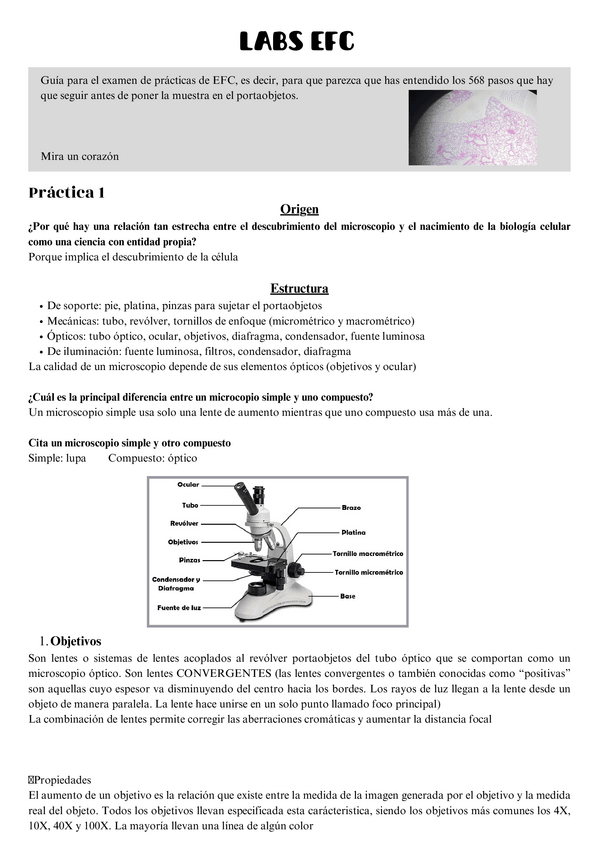 Miniatura del documento labs-efc.pdf