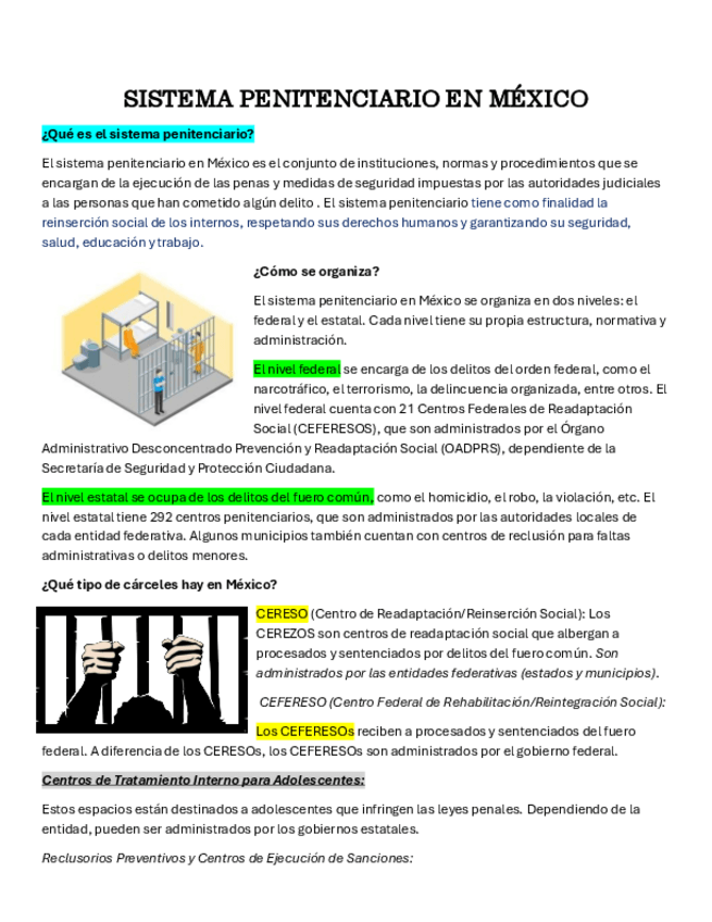 Miniatura del documento SISTEMA-PENITENCIARIO.pdf