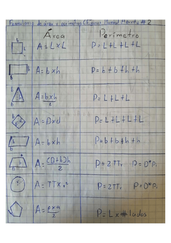 Miniatura del documento area-y-perimetro.pdf