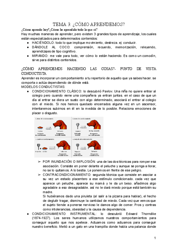 Miniatura del documento TEMA-3-COMO-APRENDEMOS.pdf