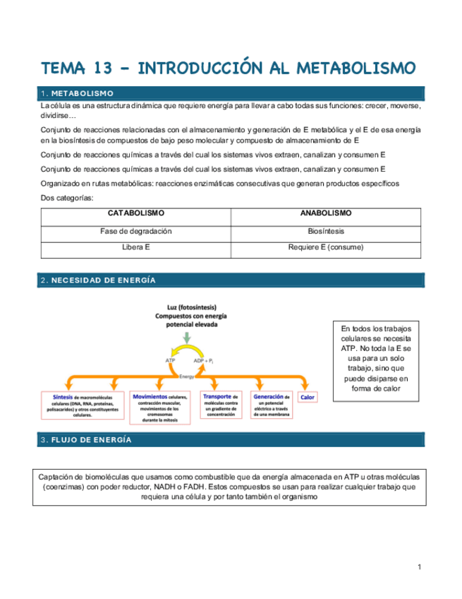 Miniatura del documento bioquimica-2o-cuatri.pdf