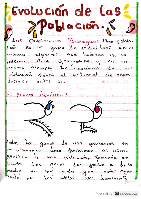 Miniatura del documento Evolucion-de-las-poblaciones.pdf
