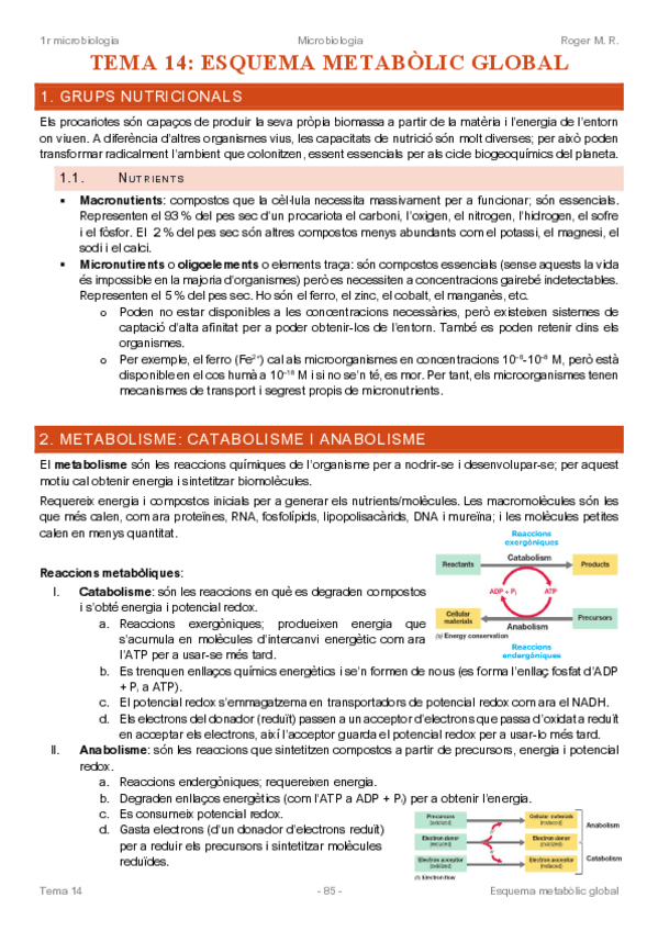 Miniatura del documento Microbiologia-2n-parcial.pdf