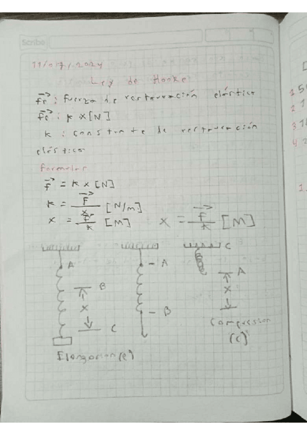 Miniatura del documento Fisica-Ley-de-Hooke-y-Primera-ley-de-Newton-EJERCICIOS.pdf